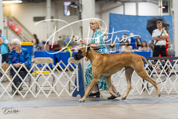 20230826-DSC08748