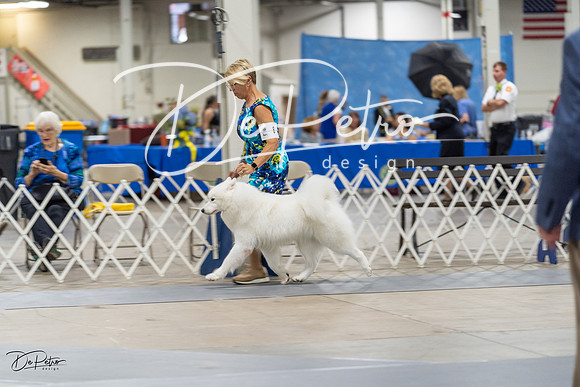 20230826-DSC08793