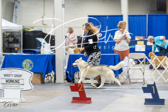 20230826-DSC08776