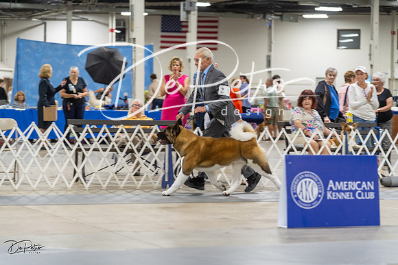 20230826-DSC08890