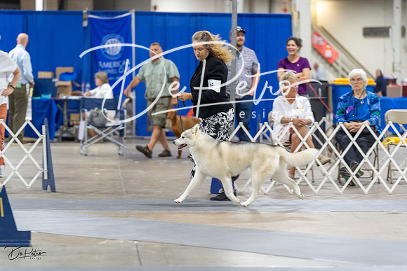 20230826-DSC08918