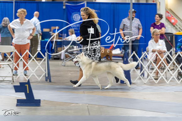 20230826-DSC08920