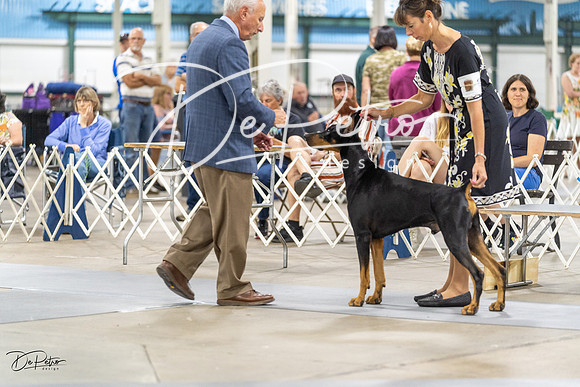 20230826-DSC08956