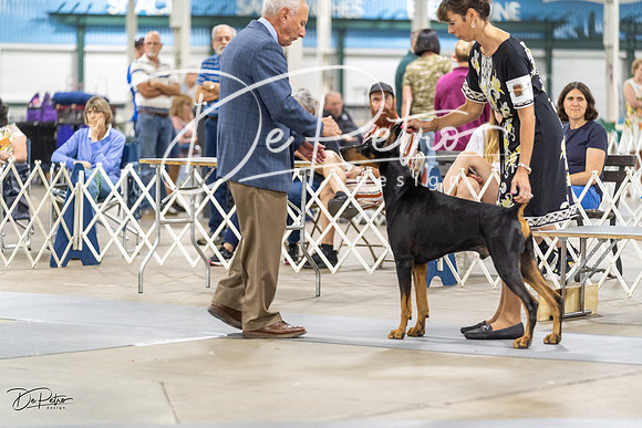 20230826-DSC08957