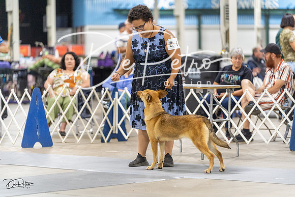 20230826-DSC09021