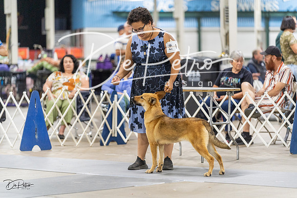 20230826-DSC09022