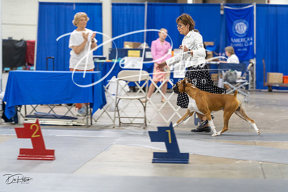 20230826-DSC09020