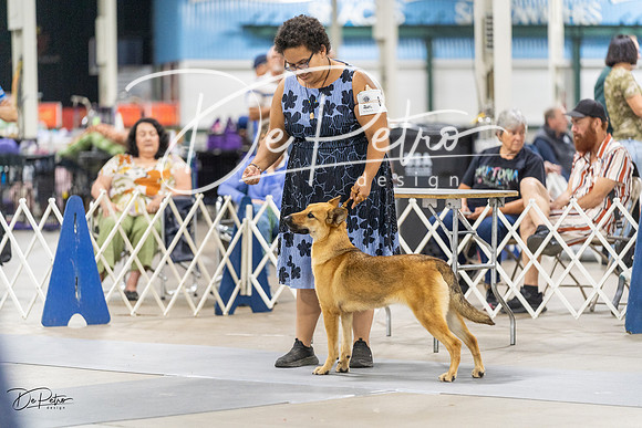 20230826-DSC09023
