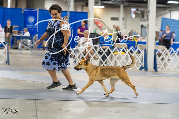 20230826-DSC09031