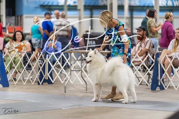 20230826-DSC09040