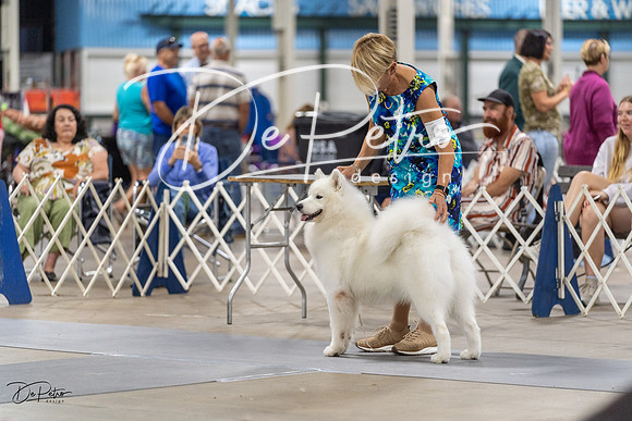 20230826-DSC09041