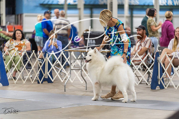 20230826-DSC09042
