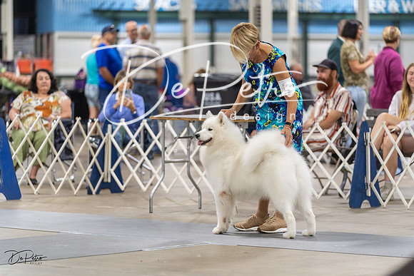 20230826-DSC09043