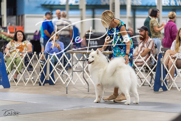 20230826-DSC09044