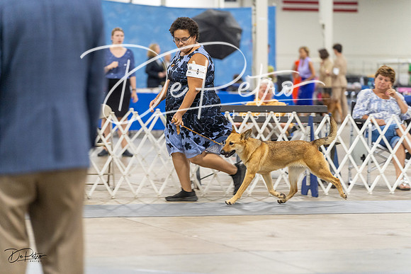 20230826-DSC09047