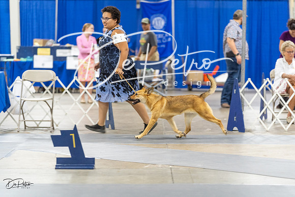 20230826-DSC09053
