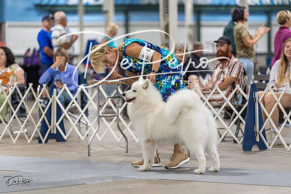 20230826-DSC09057