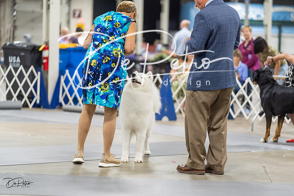20230826-DSC09075