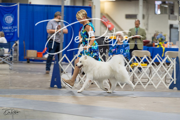 20230826-DSC09082