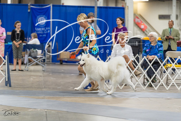 20230826-DSC09084