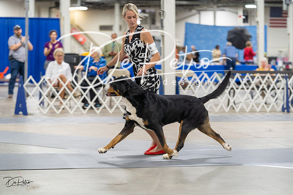 20230826-DSC09101