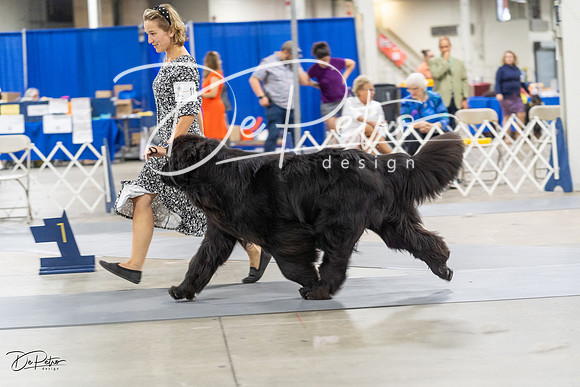 20230826-DSC09172