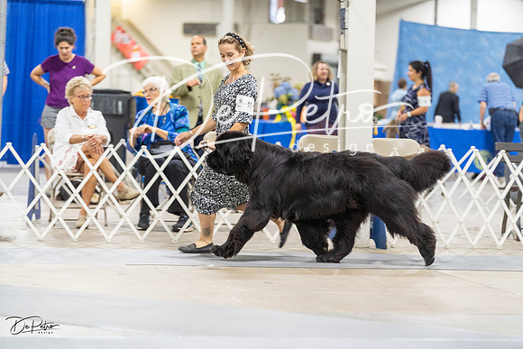 20230826-DSC09182