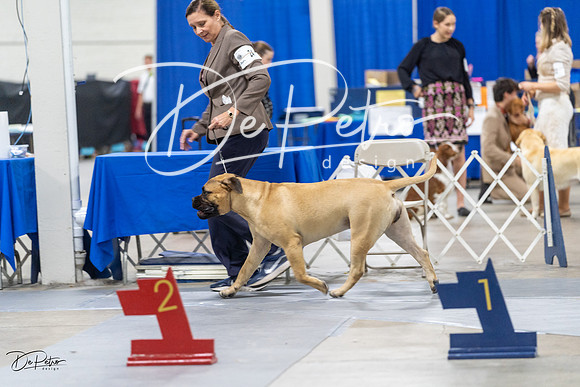 20230826-DSC09225