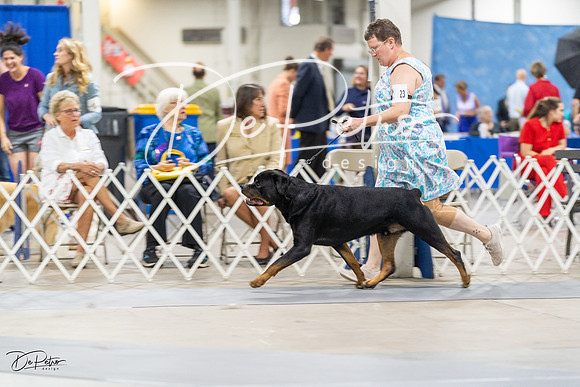 20230826-DSC09275