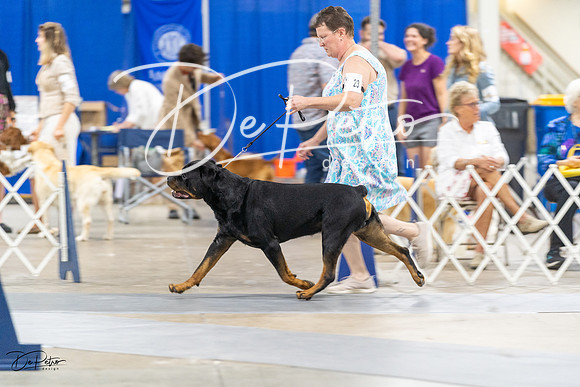 20230826-DSC09282