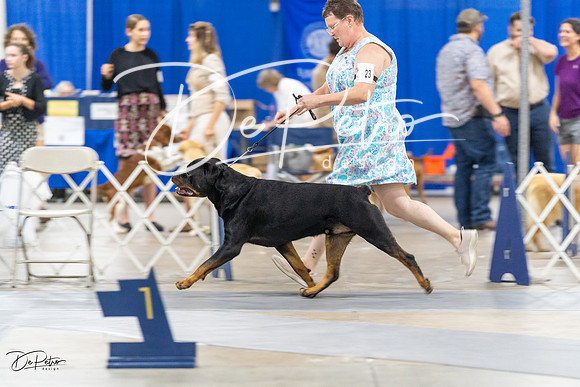 20230826-DSC09284