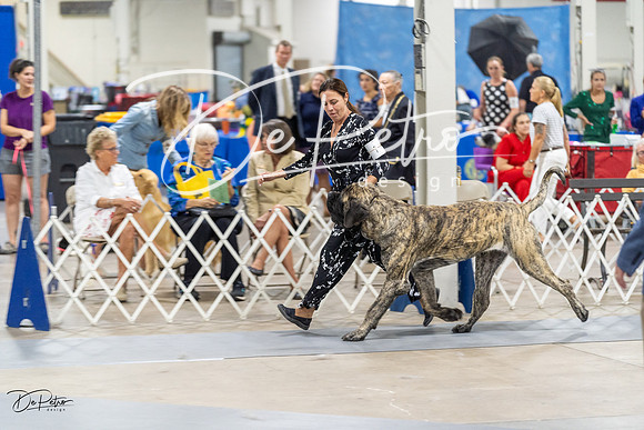 20230826-DSC09297