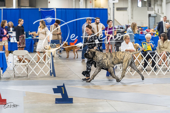 20230826-DSC09305