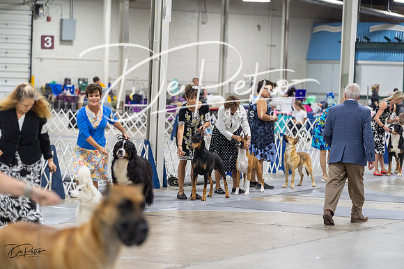 20230826-DSC09317