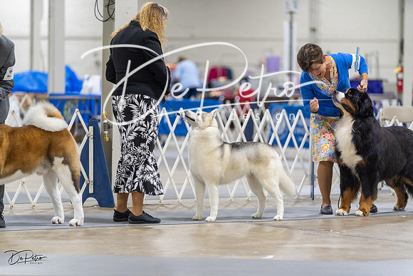 20230826-DSC08718