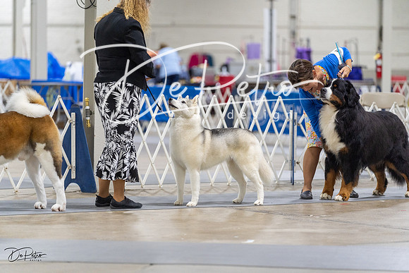 20230826-DSC08722