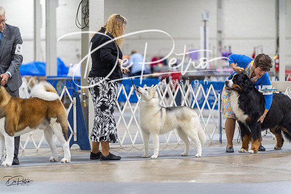 20230826-DSC08723