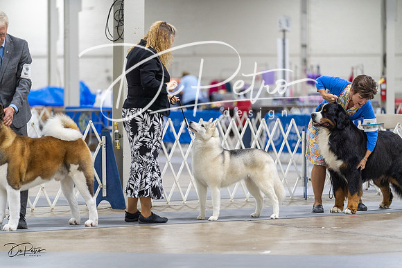 20230826-DSC08724