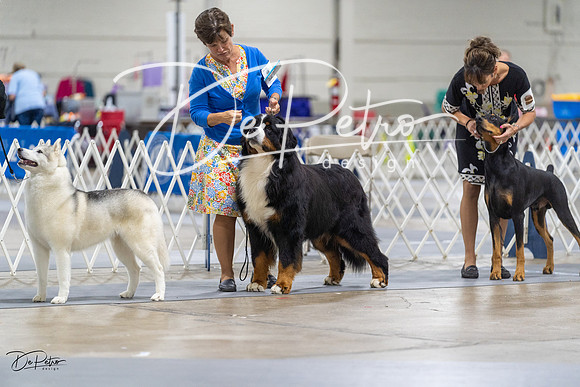 20230826-DSC08728