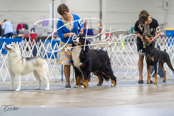 20230826-DSC08729