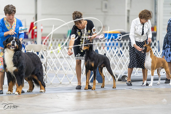 20230826-DSC08734
