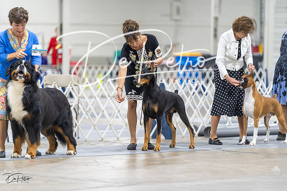 20230826-DSC08735