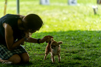 20240816-DSC00169