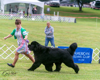 20250626-DSC04154