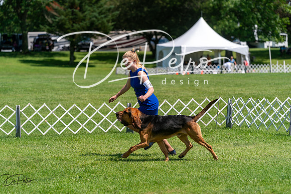 20240630-DSC01933
