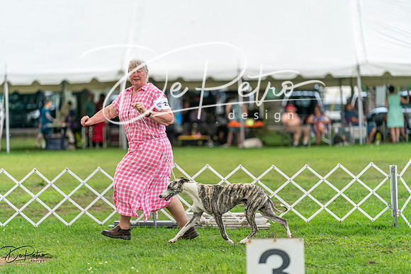 20240630-DSC02243