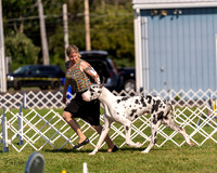 20230903-DSC03665