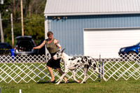 20230903-DSC03662