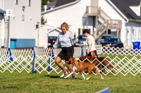 20230903-DSC03701
