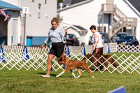 20230903-DSC03703